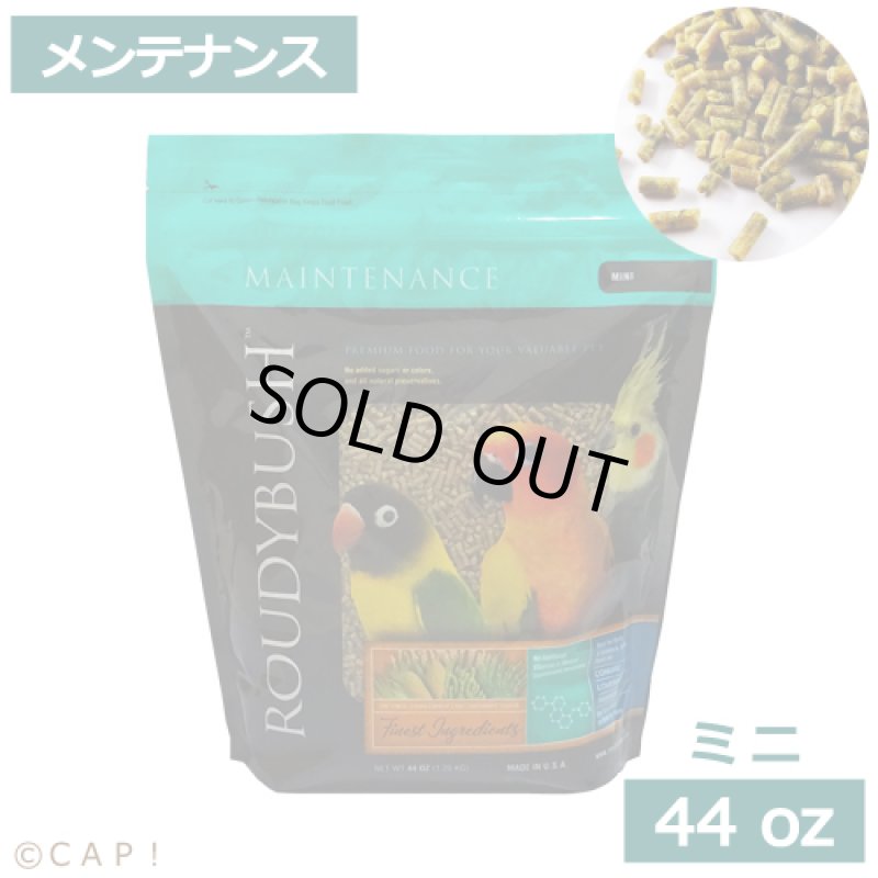 画像1: CAP! 鳥の餌 賞味期限2027/3/20ラウディブッシュ メンテナンス ミニ 44oz(1.25kg) (1)