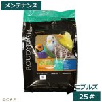 画像1: CAP! 鳥の餌 賞味期限2026/12/19ラウディブッシュ メンテナンス ニブルズ 25#(11.3kg) (1)