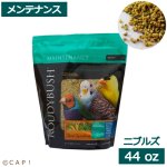画像1: CAP! 鳥の餌 賞味期限2027/1/30ラウディブッシュ メンテナンス ニブルズ 44oz(1.25kg) (1)