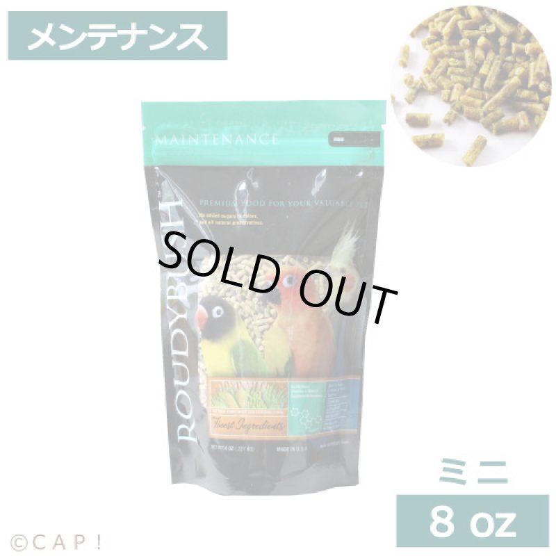 画像1: CAP! 鳥の餌 賞味期限2026/11/6ラウディブッシュ メンテナンス ミニ 8oz(227g) (1)