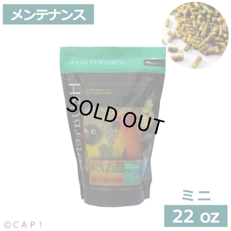 画像1: CAP! 鳥の餌 賞味期限2027/7/24ラウディブッシュ メンテナンス ミニ 22oz(624g) (1)