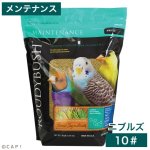 画像1: CAP! 鳥の餌 賞味期限2026/12/12ラウディブッシュ メンテナンス ニブルズ 10# (4.54kg) (1)