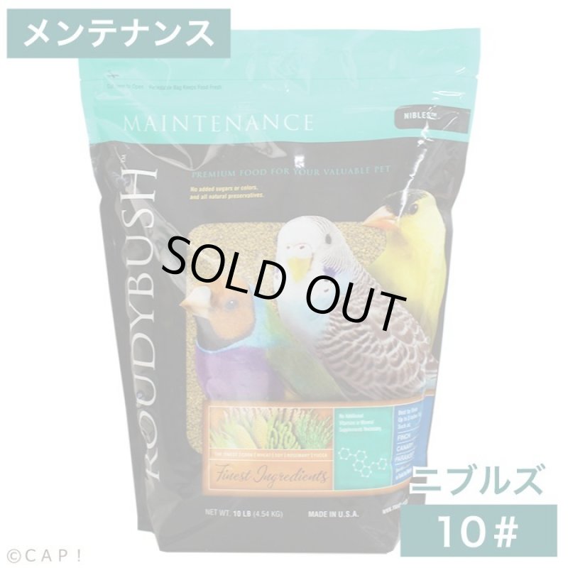 画像1: CAP! 鳥の餌 賞味期限2026/12/12ラウディブッシュ メンテナンス ニブルズ 10# (4.54kg) (1)
