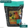 画像1: CAP! 鳥の餌 賞味期限2026/10/25ラウディブッシュ メンテナンス ミニ 10# (4.54kg) (1)