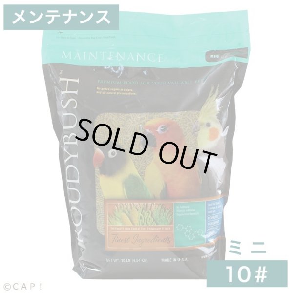 画像1: CAP! 鳥の餌 賞味期限2026/10/25ラウディブッシュ メンテナンス ミニ 10# (4.54kg) (1)