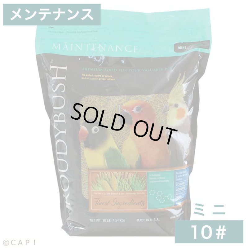 画像1: CAP! 鳥の餌 賞味期限2027/2/20ラウディブッシュ メンテナンス ミニ 10# (4.54kg) (1)