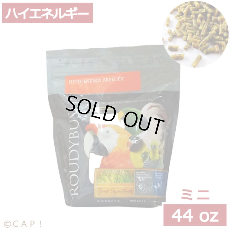 画像1: CAP! 鳥の餌 賞味期限2026/10/10 ラウディブッシュ ハイエネルギーブリーダー ミニ 44oz(1.25kg) (1)