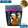 画像1: CAP! 鳥の餌 賞味期限2026/9/26ラウディブッシュ ブリーダー ミニ 44oz(1.25kg) (1)
