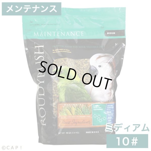 画像1: CAP! 鳥の餌 賞味期限2026/10/10ラウディブッシュ メンテナンス ミディアム 10# (4.54kg) (1)