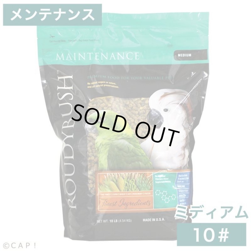 画像1: CAP! 鳥の餌 賞味期限2026/10/10ラウディブッシュ メンテナンス ミディアム 10# (4.54kg) (1)
