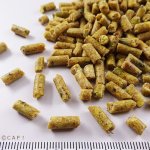 画像2: CAP! 鳥の餌 賞味期限2026/9/26ラウディブッシュ ハイエネルギーブリーダー スモール 44oz(1.25kg) (2)