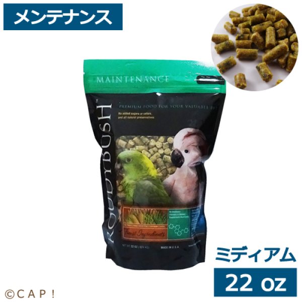 画像1: CAP! 鳥の餌 賞味期限2026/5/23 ラウディブッシュ メンテナンス ミディアム 22oz(624g) (1)