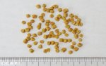 画像3: CAP! 鳥の餌 賞味期限2026/7/11ズプリーム ナチュラル S パラキート (2.25#/1kg)小型鳥類用飼料 (3)
