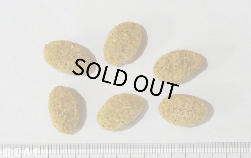 画像3: CAP! 鳥の餌 賞味期限2026/10/27 ズプリーム ナチュラル Ｌ ラージパロット (3#/1.4kg) (3)