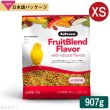 画像1: ※製造中止※CAP! 鳥の餌 賞味期限2026/5/5ズプリーム フルーツブレンド XS カナリア/フィンチ（2#/907g）極小型鳥用飼料※お一人様４個まで※ (1)