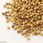 画像3: ※製造中止※CAP! 鳥の餌 賞味期限2026/2/28 ズプリーム ナッツブレンド Mミディアムバード 2#(907g) (3)