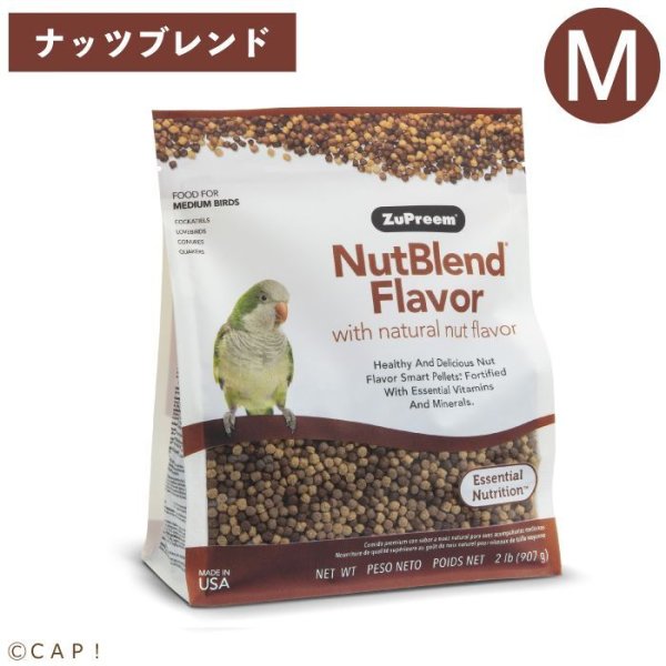 画像1: ※製造中止※CAP! 鳥の餌 賞味期限2026/2/28 ズプリーム ナッツブレンド Mミディアムバード 2#(907g) (1)