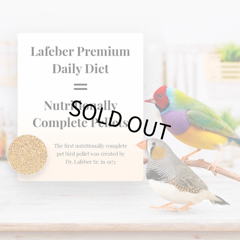 画像4: ※大容量※CAP! 鳥の餌 賞味期限2026/11/14 ラフィーバープレミアムデイリーペレットフィンチ5#(2.26kg) (4)