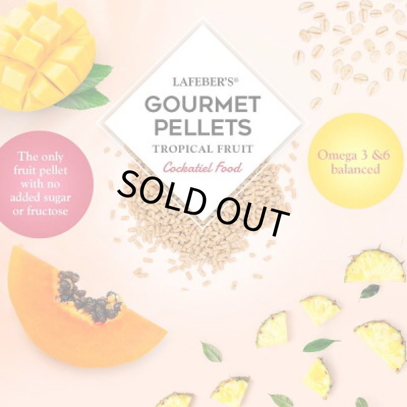 画像3: CAP! 鳥の餌 賞味期限2027/3/15 ラフィーバー グルメペレット オカメインコ 1.25#(567g) (3)