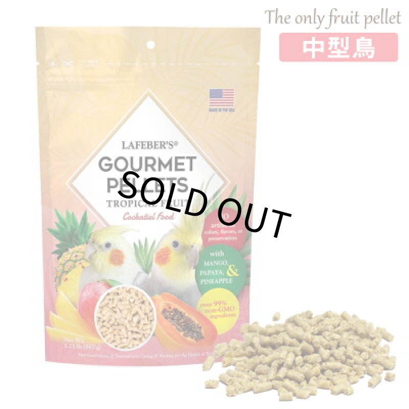 画像1: CAP! 鳥の餌 賞味期限2027/3/15 ラフィーバー グルメペレット オカメインコ 1.25#(567g) (1)