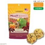 画像1: CAP! 鳥の餌 賞味期限2026/3/12 ラフィーバー ペレットベリー パロット 10oz（284g） (1)