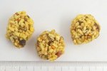画像3: CAP! 鳥の餌 賞味期限2026/3/12 ラフィーバー ペレットベリー パロット 10oz（284g） (3)