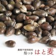 画像1: CAP! 鳥の餌 賞味期限2026/9/30 農薬不使用【国内産】殻つき はと麦 100g★ (1)