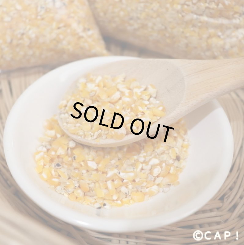 画像2: CAP! 鳥の餌 賞味期限2027/9/7【国内産】ひきわりとうもろこし 500g　★ (2)