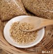 画像2: CAP! 鳥の餌 賞味期限2026/6/30【国内産】大麦 500g　★ (2)