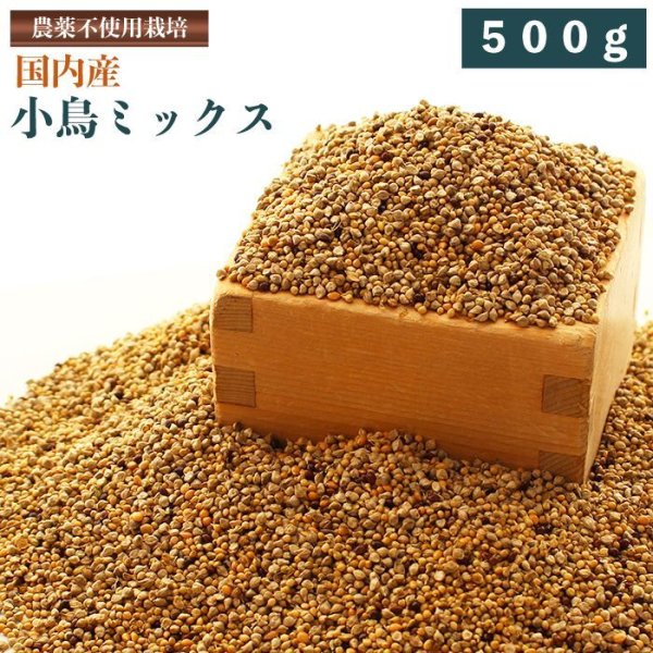 画像1: CAP! 鳥の餌 賞味期限2026/10/31【国内産】小鳥ミックス 500g 0020　★ (1)