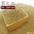 画像1: CAP! 鳥の餌 賞味期限2026/10/31【国内産/農薬不使用】玄ヒエ 200g　★ (1)