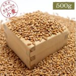 画像1: CAP! 鳥の餌 賞味期限2026/11/30【国内産】小麦 500g　★ (1)