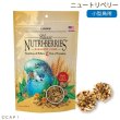 画像1: CAP! 鳥の餌 賞味期限2026/3/11 ラフィーバー ニュートリベリー パラキート 10oz(284g) (1)
