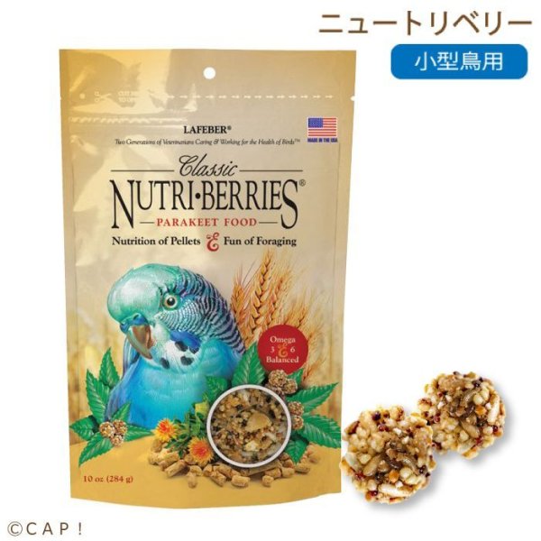 画像1: CAP! 鳥の餌 賞味期限2026/3/11 ラフィーバー ニュートリベリー パラキート 10oz(284g) (1)