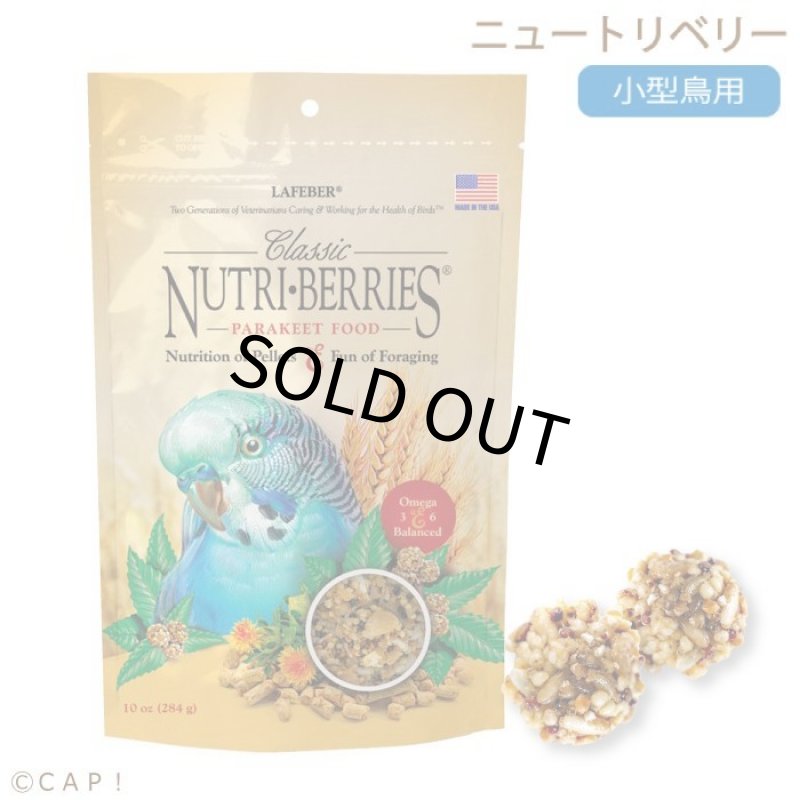画像1: CAP! 鳥の餌 賞味期限2027/8/18 ラフィーバー ニュートリベリー パラキート 10oz(284g) (1)