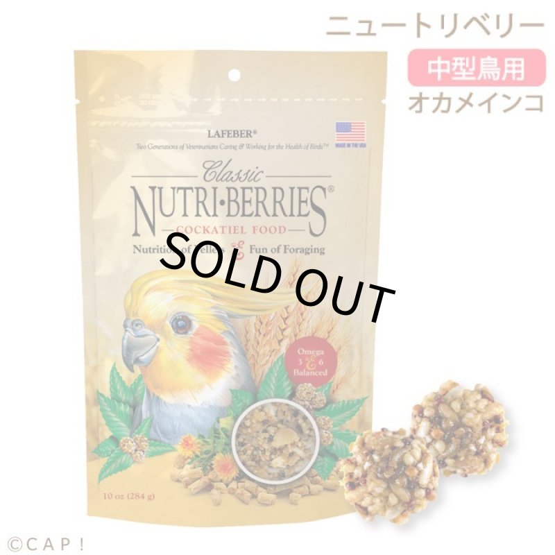 画像1: CAP! 鳥の餌 賞味期限2026/11/15 ラフィーバー ニュートリベリー オカメインコ 10oz（284ｇ） (1)