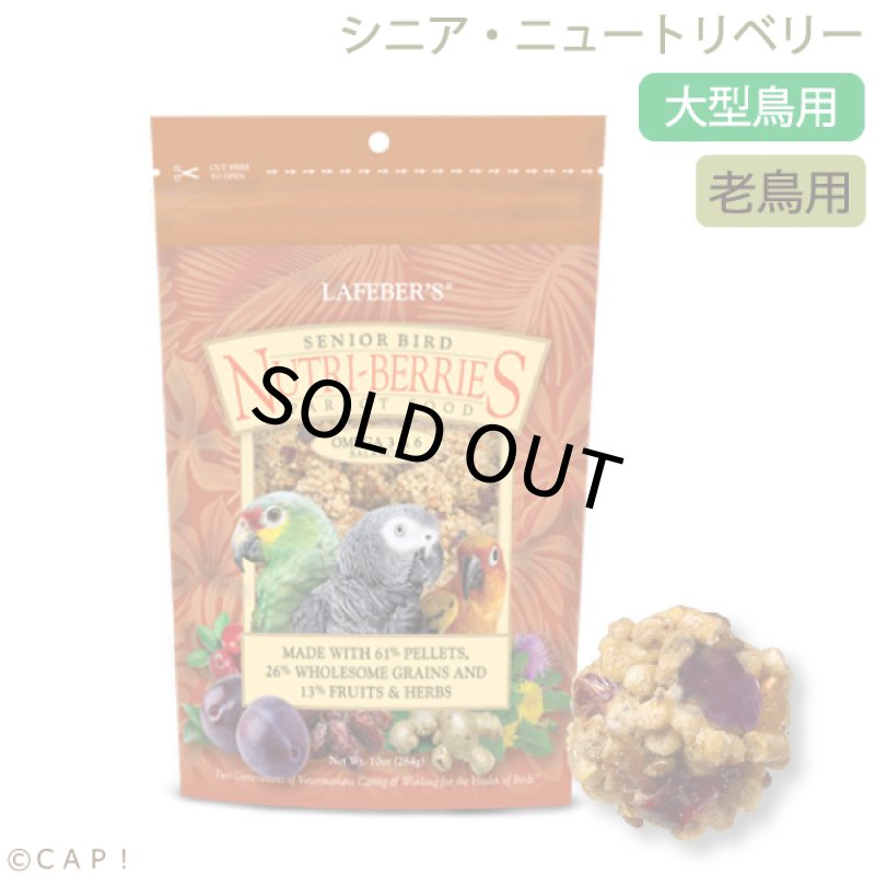 画像1: CAP! 鳥の餌 賞味期限2027/9/5ラフィーバー シニアバード ニュートリベリーズ パロット(10oz/284g) (1)