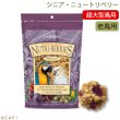 画像1: CAP! 鳥の餌 賞味期限2026/7/14 ラフィーバー シニアバード ニュートリベリーズ マコウ(10oz/284g) (1)