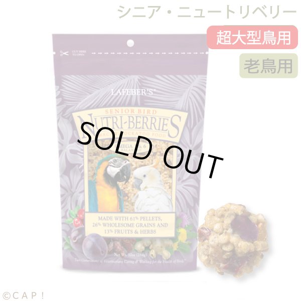 画像1: CAP! 鳥の餌 賞味期限2026/7/14 ラフィーバー シニアバード ニュートリベリーズ マコウ(10oz/284g) (1)