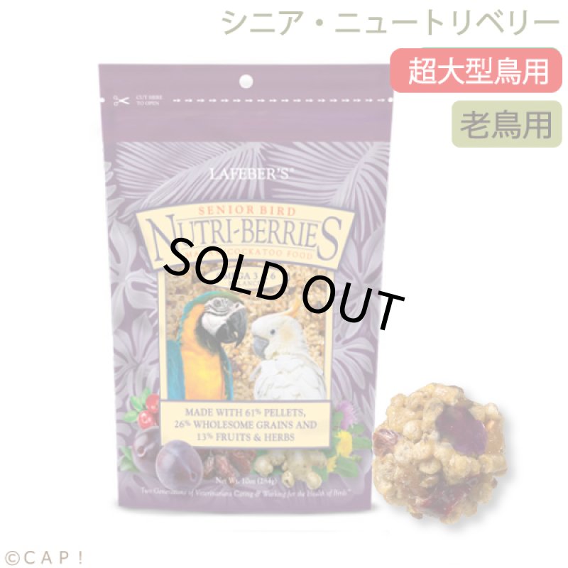 画像1: CAP! 鳥の餌 賞味期限2026/7/14 ラフィーバー シニアバード ニュートリベリーズ マコウ(10oz/284g) (1)
