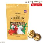 画像1: CAP! 鳥の餌 賞味期限2026/6/11 ラフィーバー ニュートリベリー マコウ 10oz(284g) (1)