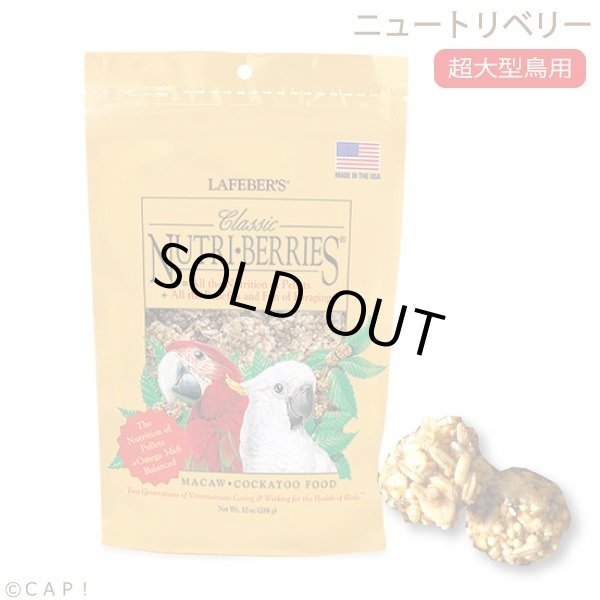 画像1: CAP! 鳥の餌 賞味期限2026/6/11 ラフィーバー ニュートリベリー マコウ 10oz(284g) (1)