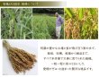 画像5: CAP! 鳥の餌 賞味期限2026/5/31 【熊本県産】有機JAS認定品 稲穂 50g 2024年産 ろのわ※青ラベル※ ★ (5)