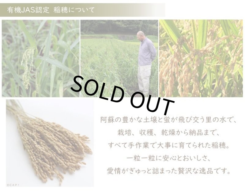 画像5: CAP! 鳥の餌 賞味期限2027/7/31【熊本県産】有機JAS認定品 稲穂 50g 2025年産 ろのわ※青ラベル※ ★ (5)