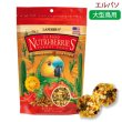 画像1: CAP! 鳥の餌 賞味期限2026/7/6 ラフィーバー エルパソ 10oz/284g (1)
