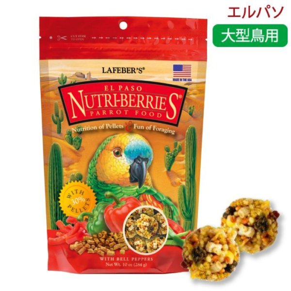 画像1: CAP! 鳥の餌 賞味期限2026/7/6 ラフィーバー エルパソ 10oz/284g (1)
