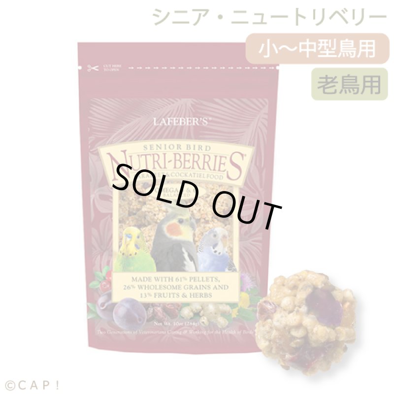 画像1: CAP! 鳥の餌 賞味期限2026/7/14 ラフィーバー シニアバード ニュートリベリーズ オカメインコ(10oz/284g) (1)