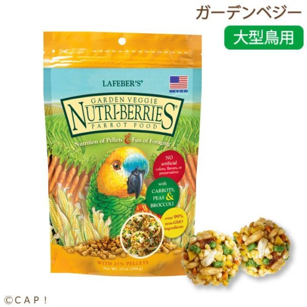 画像1: CAP! 鳥の餌 賞味期限2026/7/3 ラフィーバー ガーデンベジー 10oz/284g (1)