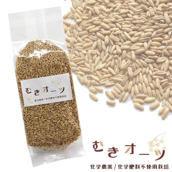 画像1: CAP! 鳥の餌 賞味期限2025/10/17　むきオーツ300g 化学農薬・化学肥料不使用栽培品★ (1)