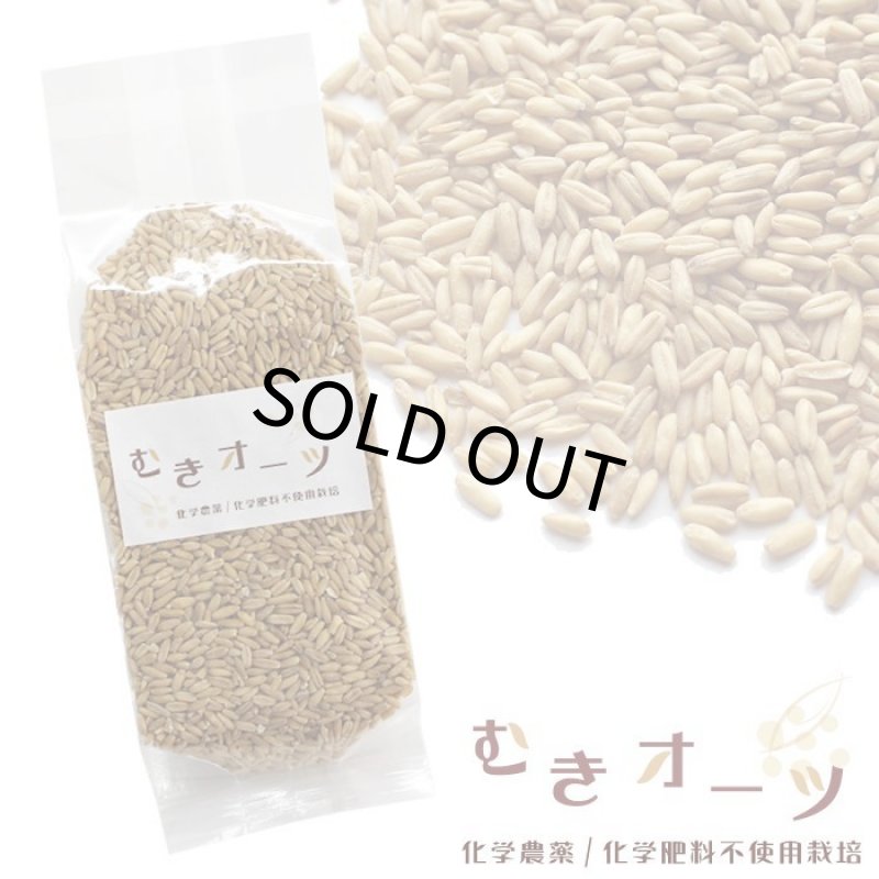 画像1: CAP! 鳥の餌 賞味期限2026/10/30　むきオーツ300g 化学農薬・化学肥料不使用栽培品★ (1)